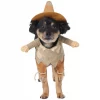 Frisco Front Walking Scarecrow Dog & Cat Costume