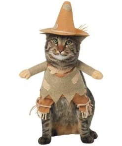 Frisco Front Walking Scarecrow Dog & Cat Costume 12 Frisco Front Walking Scarecrow Dog & Cat Costume -Frisco Sales 2024 335133 PT2. SY630 V1658348508