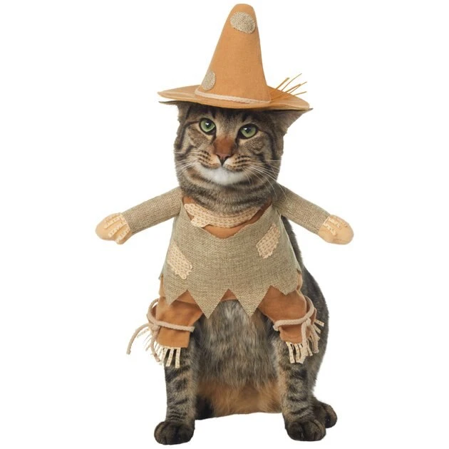 Frisco Front Walking Scarecrow Dog & Cat Costume 5 Frisco Front Walking Scarecrow Dog & Cat Costume - Image 3