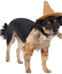Frisco Front Walking Scarecrow Dog & Cat Costume 13 Frisco Front Walking Scarecrow Dog & Cat Costume -Frisco Sales 2024 335133 PT3. SY630 V1658349119