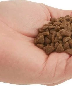 ACANA||Frisco ACANA First Feast Kitten Dry Cat Food + Frisco Multi-Cat Unscented Clumping Clay Litter -Frisco Sales 2024 338643 PT3. SY630 V1635909934