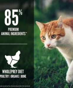 ORIJEN||Frisco ORIJEN Fit & Trim Grain-Free Dry Food + Frisco Colorful Springs Cat Toy -Frisco Sales 2024 338697 PT4. SY630 V1635896619