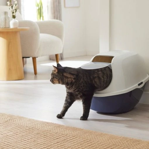 Frisco Modern Hooded Cat Litter Box -Frisco Sales 2024 341984 MAIN. SY630 V1642605017