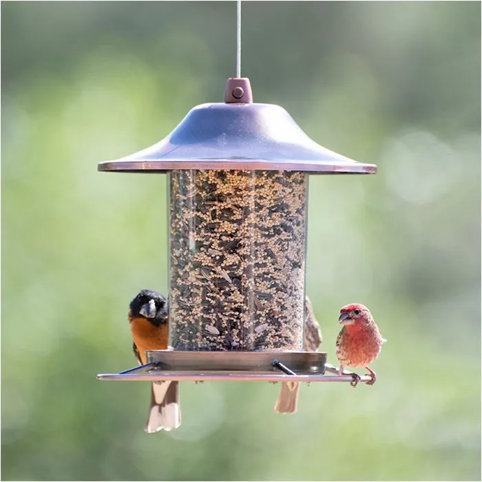 The Frisco Store -Frisco Sales 2024 312c 8